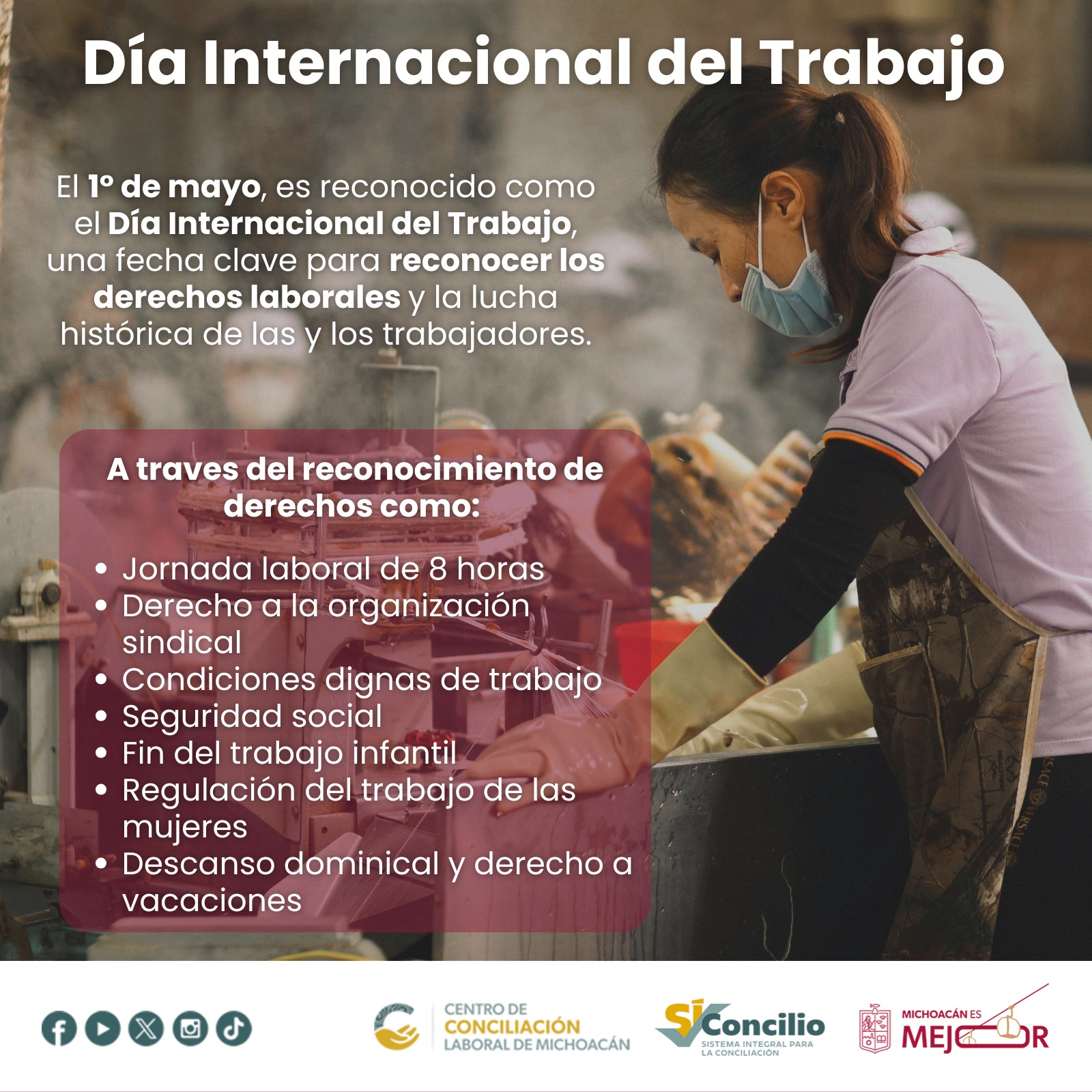 Descripción de la imagen