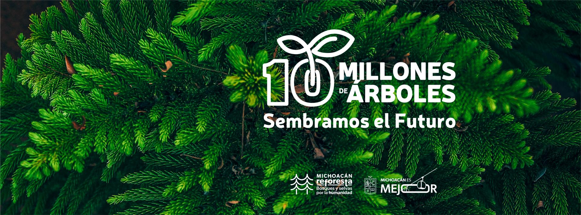 carrusel gobierno